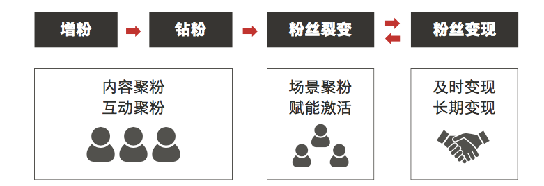 鸟哥笔记,广告营销,JS策划人,案例分析,策略,盘点